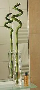 Hotel-von-heyden Hotel Tegernheim